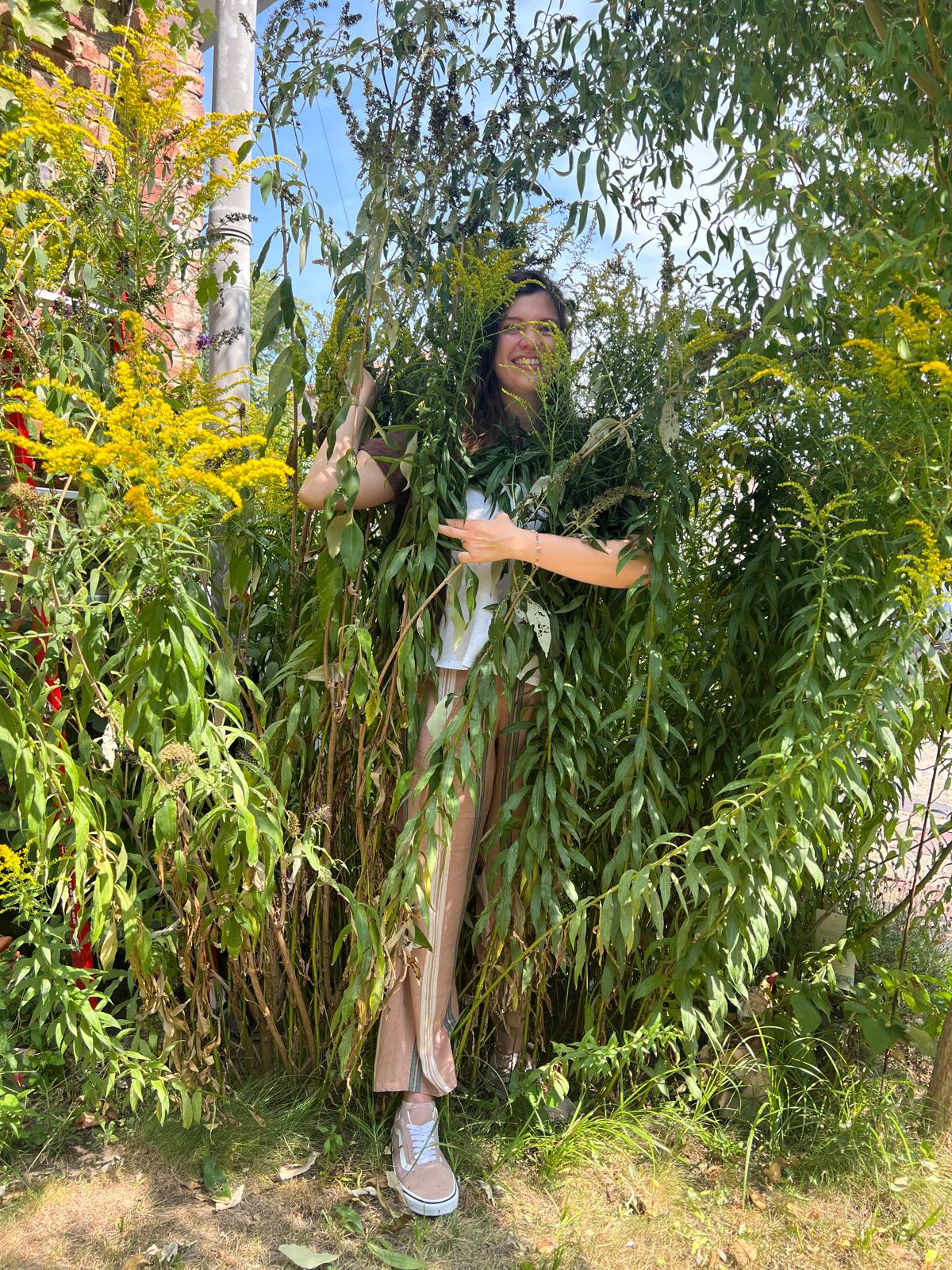 Mimose among tall plants during the shoot